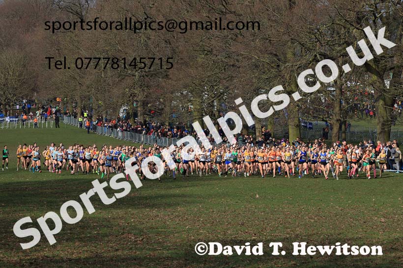 Womens Under-17s, 2024 CAU Inter Counties Cross Country Champs., Wollaton Park, Nottingham. Photo: David T. Hewitson/Sports for All Pics